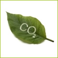 Co2